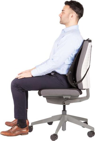 Opěrka zádová Fellowes Mesh, černý