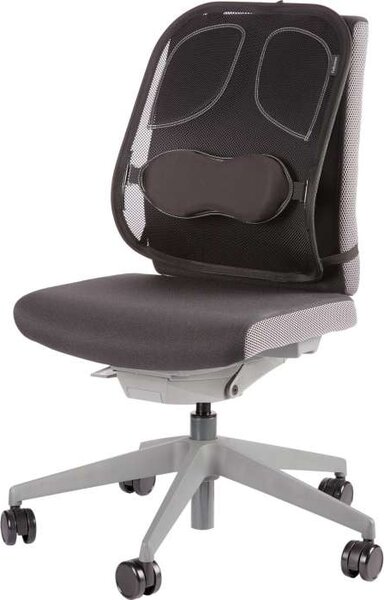 Zádová opěrka Fellowes Professional, černý
