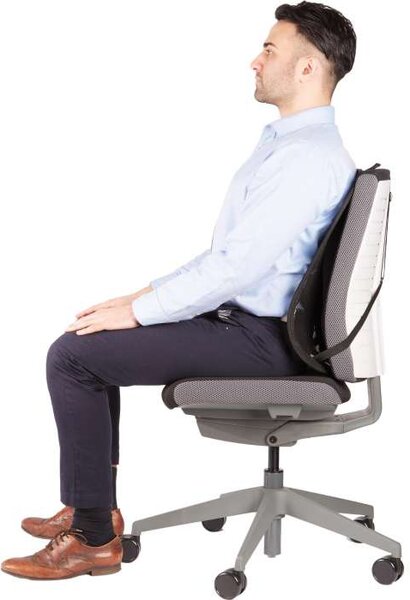 Zádová opěrka Fellowes Professional, černý