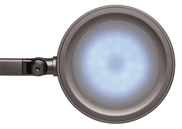 Stolní LED lampa MAULgrace - stmívatelná, stříbrná