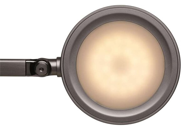 Stolní LED lampa MAULgrace - stmívatelná, stříbrná