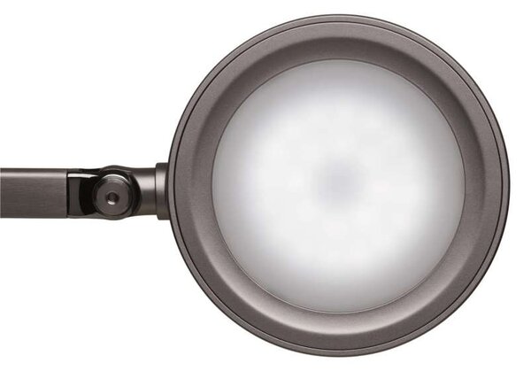 Stolní LED lampa MAULgrace - stmívatelná, stříbrná