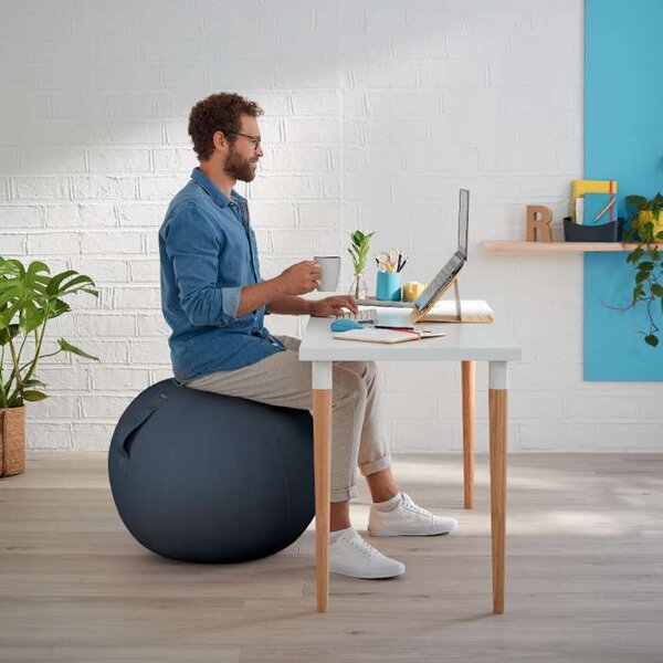 Sedací míč Leitz ERGO Cosy - sametově šedá