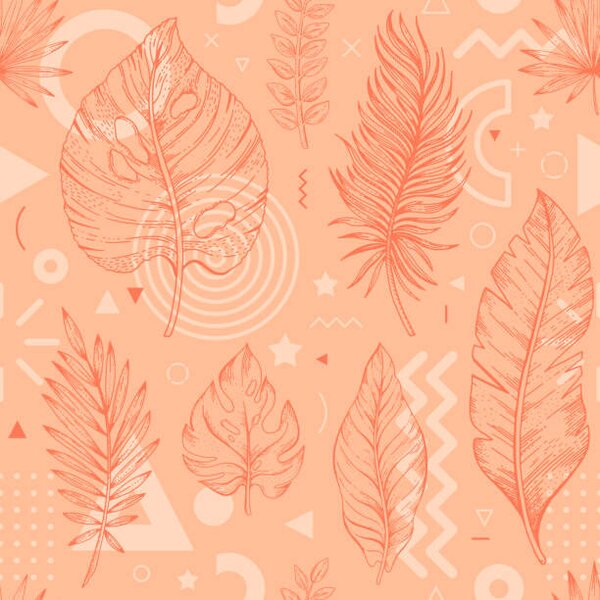 Umělecká fotografie 2024 peach palm leaf color pattern., o-che, (40 x 40 cm)