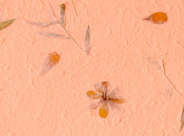 Umělecká fotografie Mulberry paper background, kuarmungadd, (40 x 30 cm)