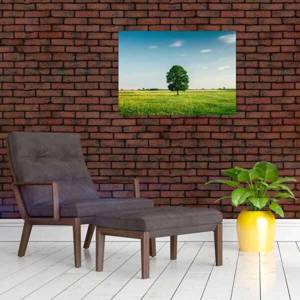 Obraz stromu na louce (70x50 cm)