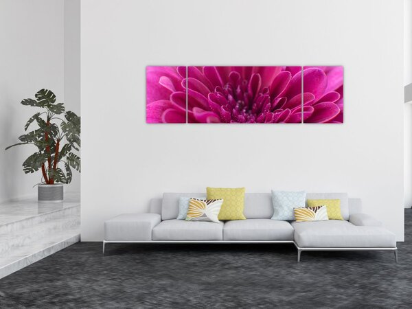 Obraz květiny (170x50 cm)