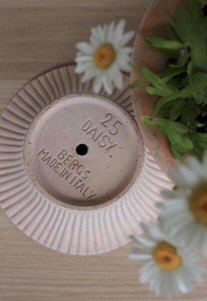 Bergs Potter Terakotový květináč Daisy Rosa - 25 cm BP156