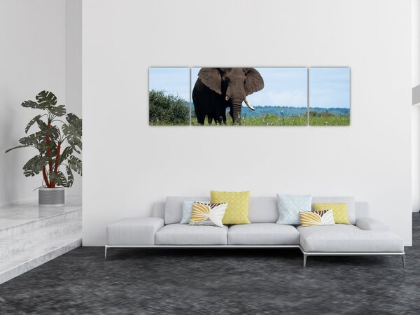 Obraz slona (170x50 cm)