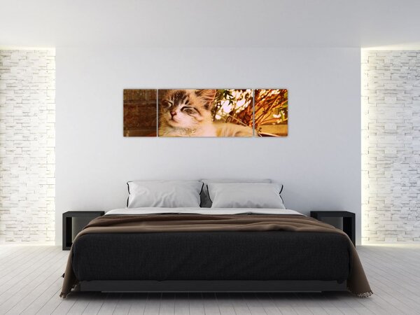 Obraz kočky v květináči (170x50 cm)