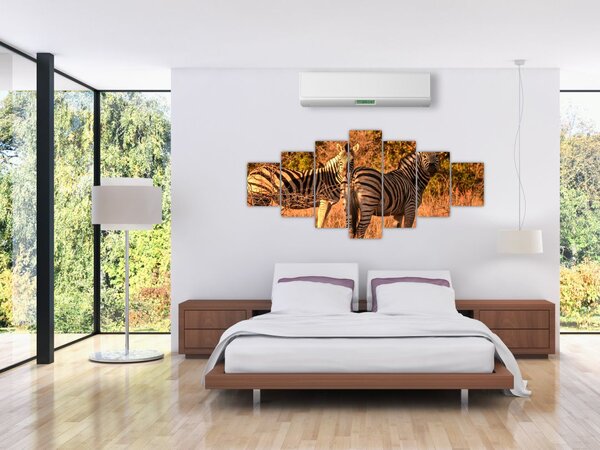 Obraz zeber (210x100 cm)