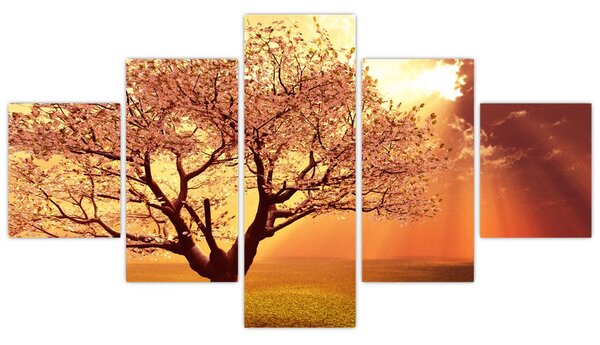 Obraz paprsků Boha (125x70 cm)