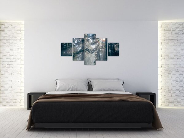 Obraz stromů s průsvitajícím sluncem (125x70 cm)