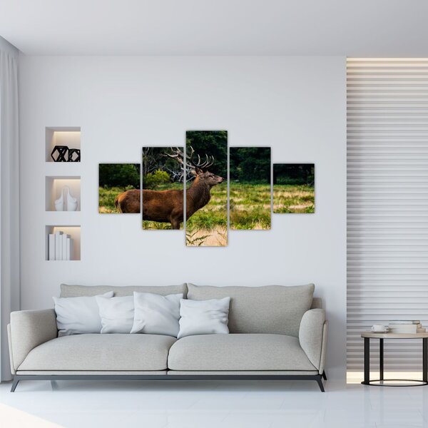 Obraz jelena (125x70 cm)