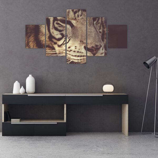 Obraz tygra (125x70 cm)