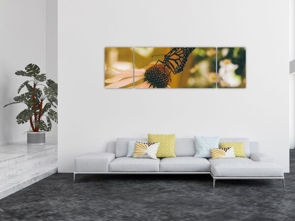 Obraz motýla na květině (170x50 cm)