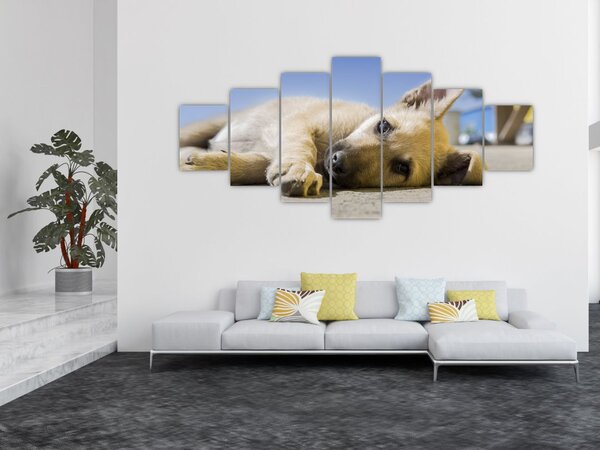Obraz ležícího štěněte (210x100 cm)