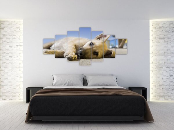 Obraz ležícího štěněte (210x100 cm)