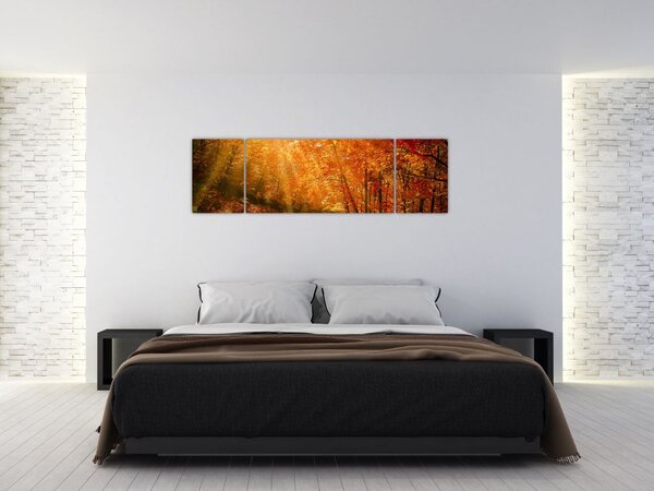 Obraz podzimního lesa (170x50 cm)
