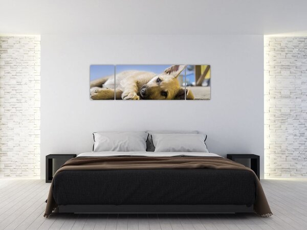 Obraz ležícího štěněte (170x50 cm)