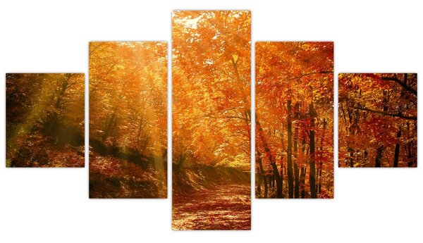 Obraz podzimního lesa (125x70 cm)
