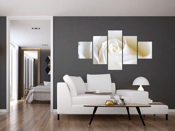 Obraz bílé růže (125x70 cm)