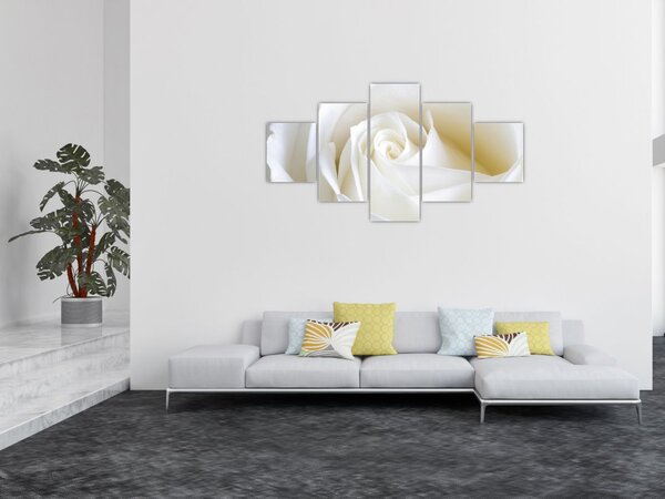 Obraz bílé růže (125x70 cm)