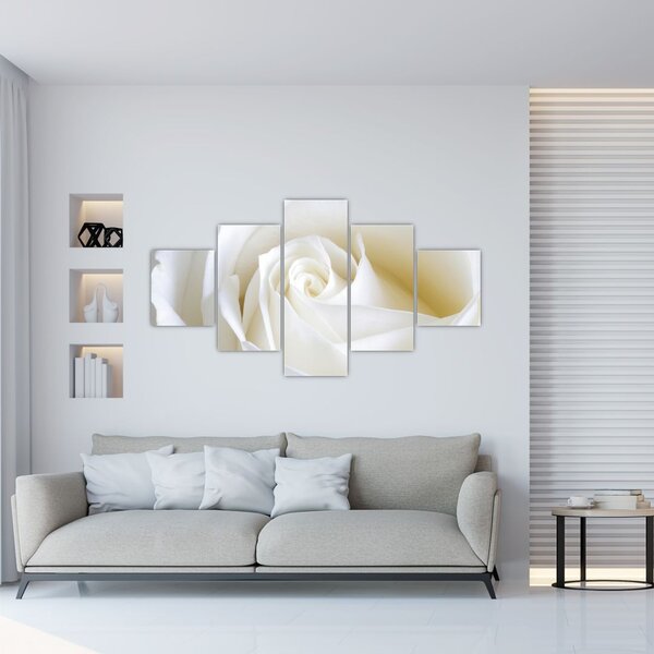 Obraz bílé růže (125x70 cm)