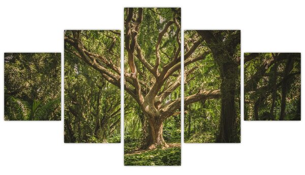 Obraz stromu (125x70 cm)