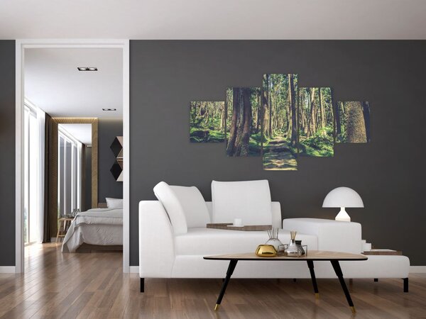 Obraz cesty mezi stromy (125x70 cm)