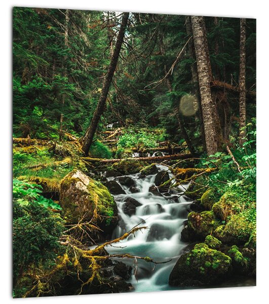 Obraz potoku v lese (30x30 cm)