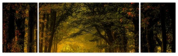 Obraz lesu (170x50 cm)