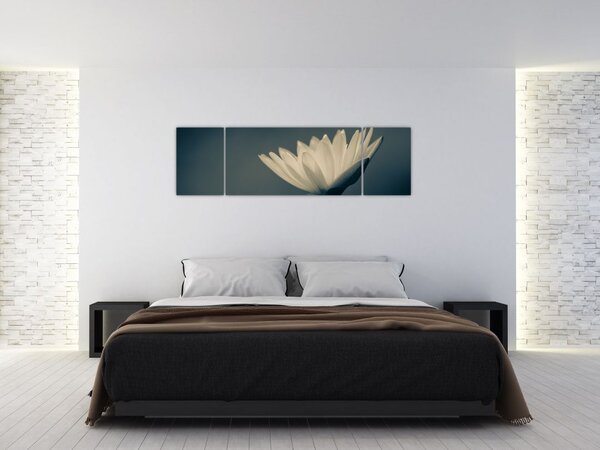 Obraz květiny (170x50 cm)