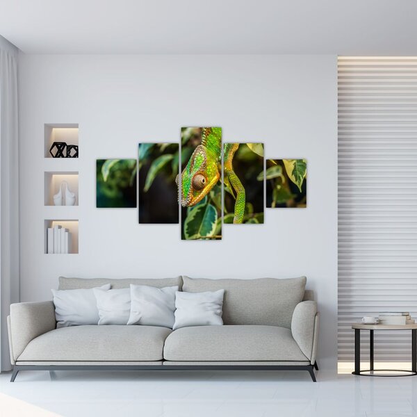 Obraz chameleona (125x70 cm)