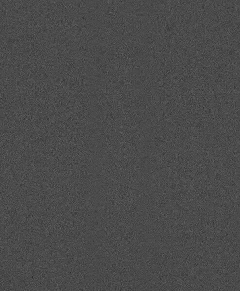 RASCH | Vliesová tapeta na zeď TOP Collection 610376 | 0,53 x 10,05 m | černá