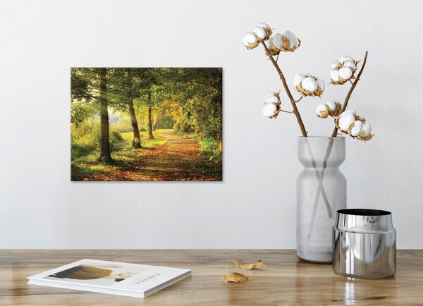 MALBA NA PLÁTNĚ, stromy, 30/40 cm - Obrazy na plátně