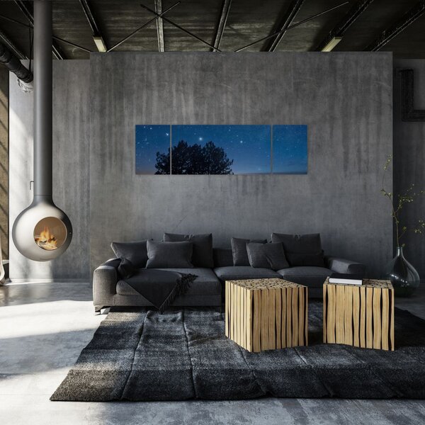 Obraz stromů v noci (170x50 cm)