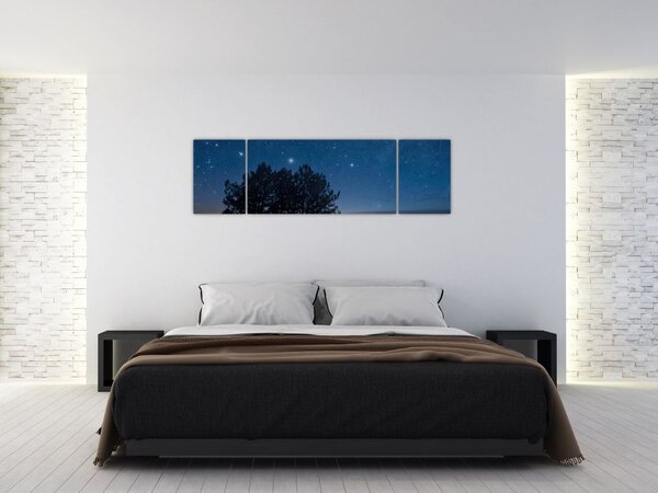 Obraz stromů v noci (170x50 cm)
