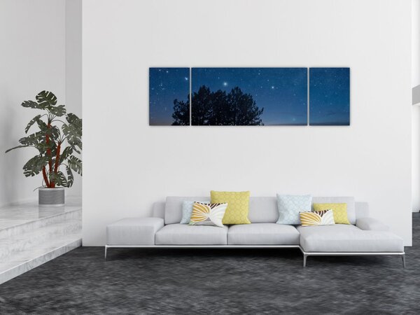 Obraz stromů v noci (170x50 cm)