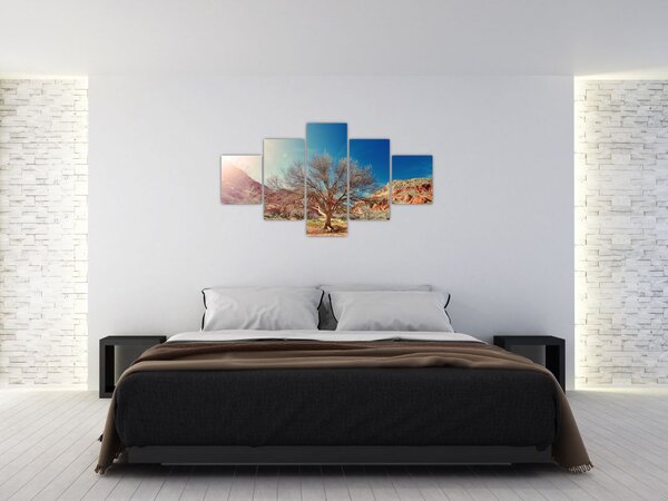 Obraz stromu v poušti (125x70 cm)