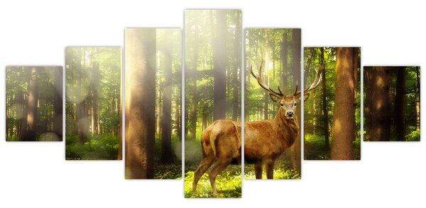 Obraz jelena v lese (210x100 cm)