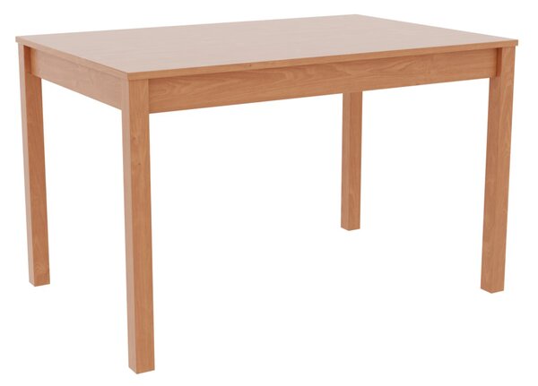 RESTAURAČNÍ stůl 60 x 90 cm, , Materiál: lamino (na výběr více variant)