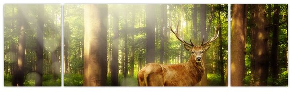 Obraz jelena v lese (170x50 cm)