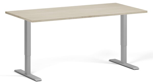Výškově nastavitelný stůl, 160x80 cm, 1 motor, šedá podnož, dub přírodní