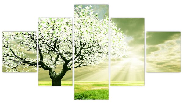 Obraz stromu na louce (125x70 cm)