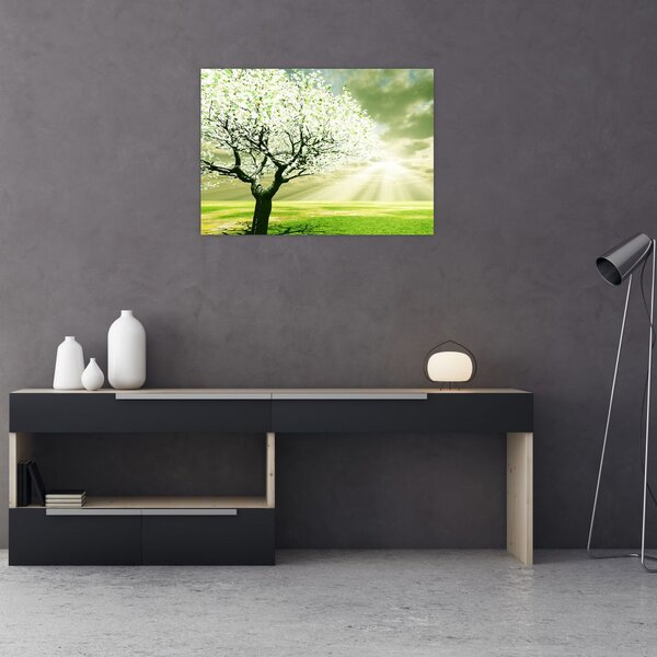 Obraz stromu na louce (70x50 cm)