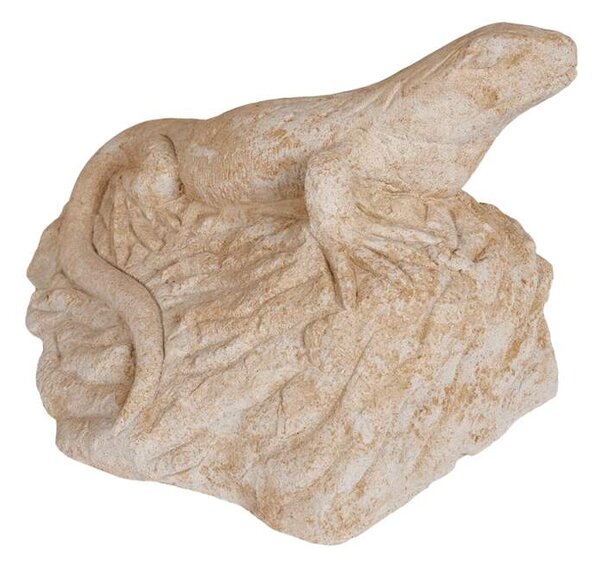 Ještěrka na skále 31kg