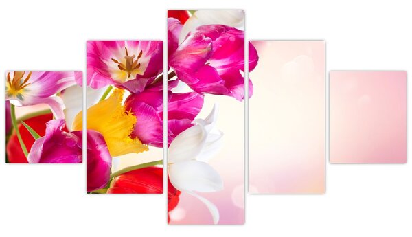 Obraz tulipánů (125x70 cm)