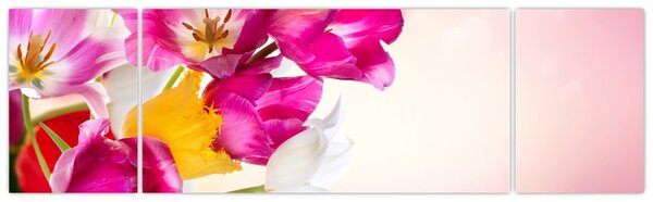 Obraz tulipánů (170x50 cm)