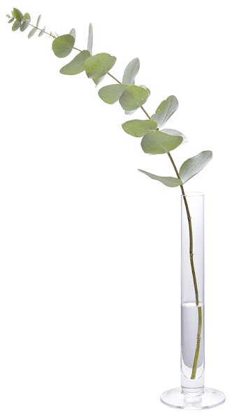 VÁZA, sklo, 25 cm - Skleněné vázy